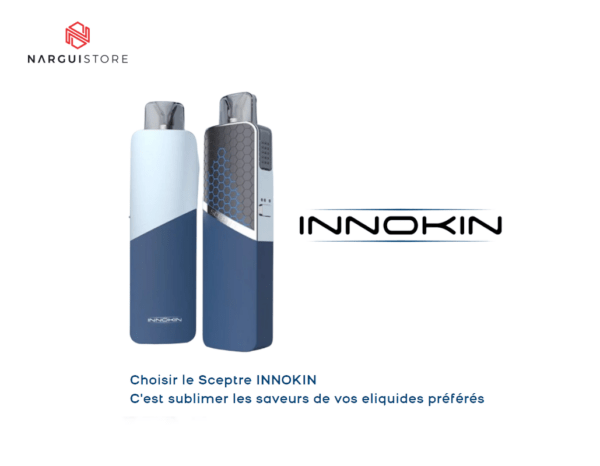 Cigarette électronique Innokin Kit Sceptre