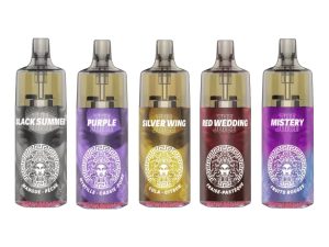 Puff 20000 The MDS Juice 2% nicotine