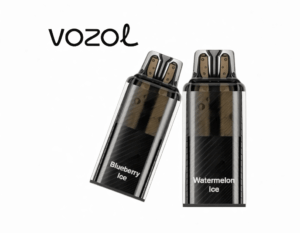 Cartouche VOZOL Vista Plug 15000