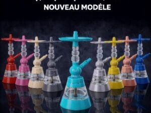 Chicha CELESTE H2 Rayka